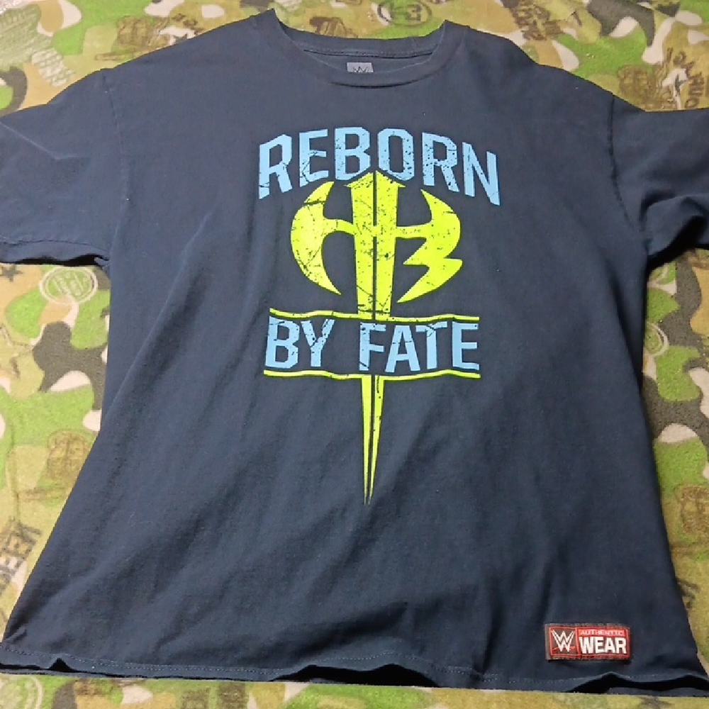 Hardy Boyz WWE Large Tee